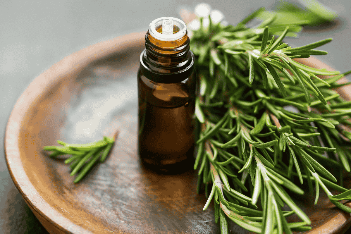 8 Proven Benefits of Rosemary Oil: From Hair Growth to Mental Focus