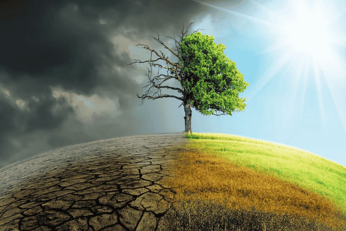 Environmental and Global Health Challenges in the United States