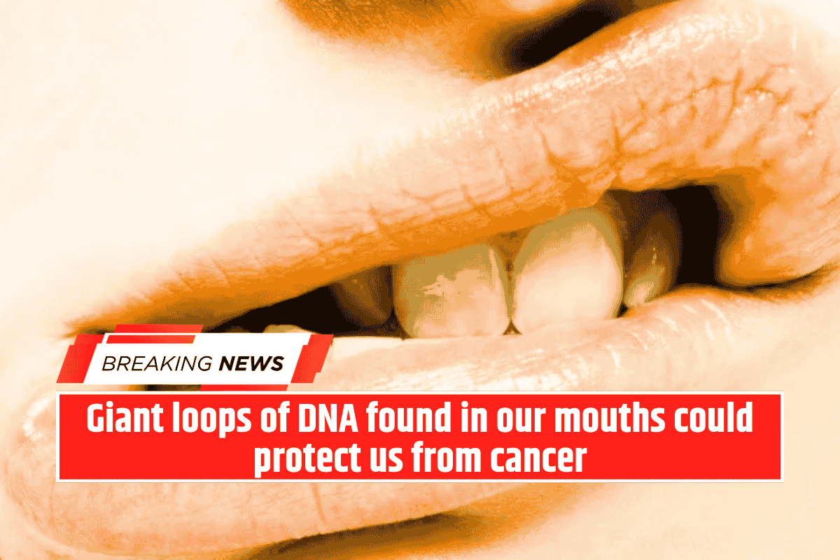 Giant loops of DNA found in our mouths could protect us from cancer