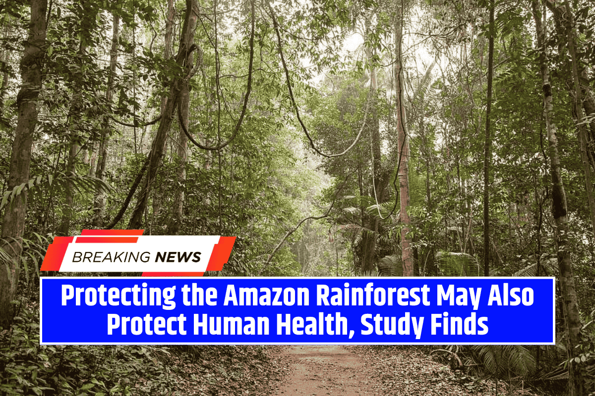 Protecting the Amazon Rainforest May Also Protect Human Health, Study Finds